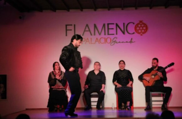 palacio flamenco