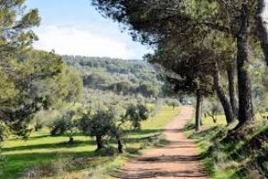 Dehesa-del-Generalife