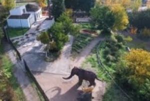 Ruta-del-Mamut-Granada