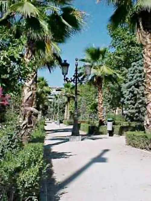 paseo del violon