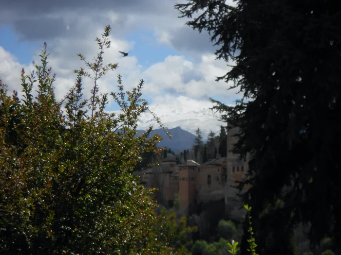 Sierra Nevada desde un carmen del albaicin